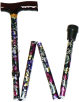 תמונה עבור הקטגוריה מקל הליכה